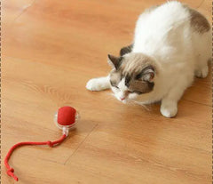 Purrfect Play Cat Toy