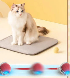 Purrfect Play Cat Toy