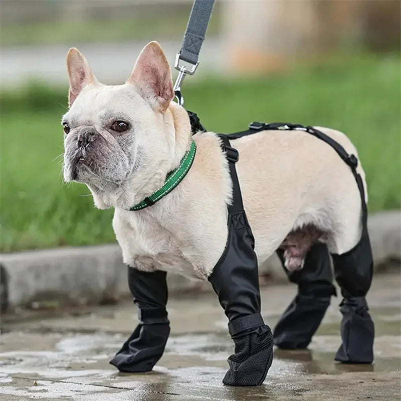 All-Weather Dog Paw Protectors
