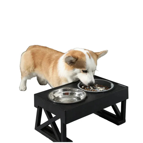 Elevated Slow-Feed Dog Bowl