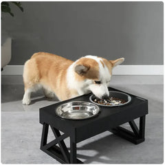 Elevated Slow-Feed Dog Bowl