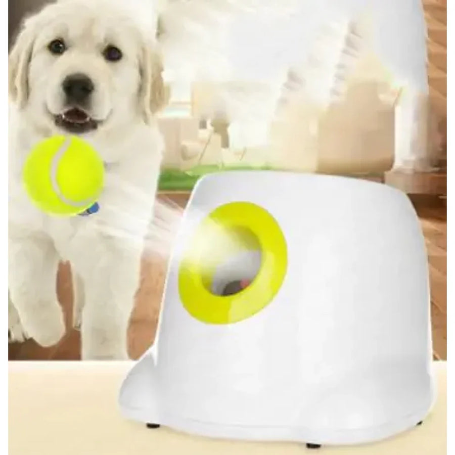 AutoFetch Dog Ball Launcher