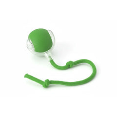 Purrfect Play Cat Toy
