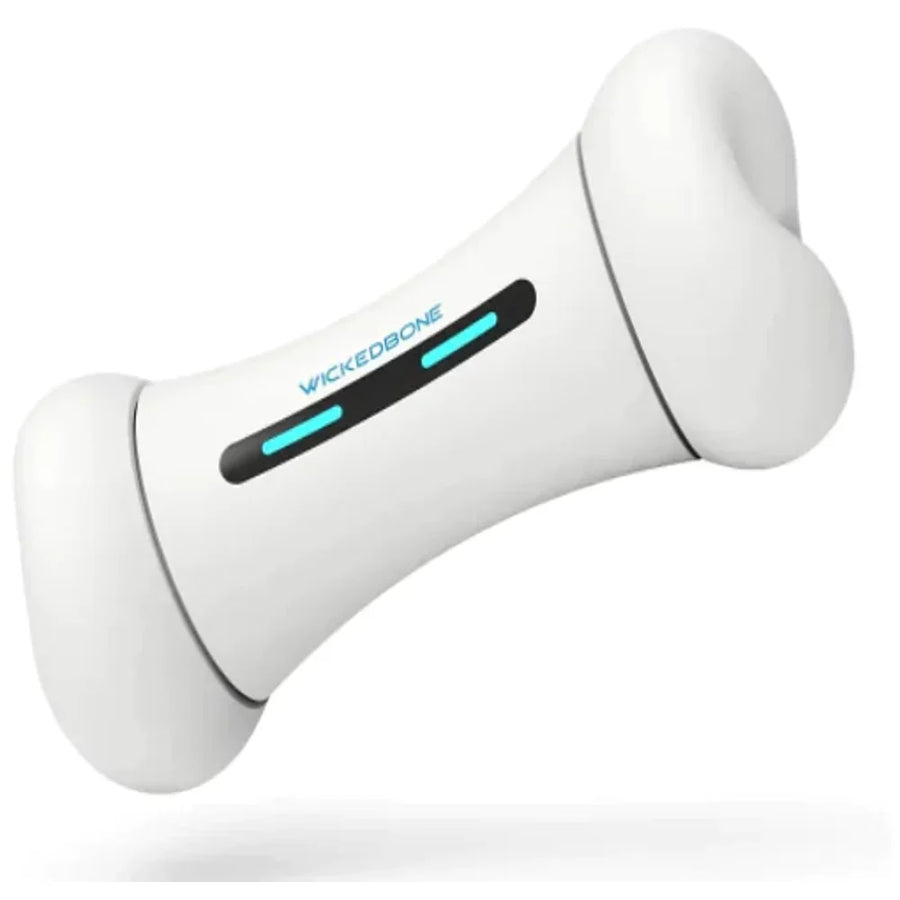 SmartPlay Dog & Cat Toy