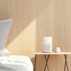 Smart Robot Speaker - Xiaomi Xiao Ai Sound System