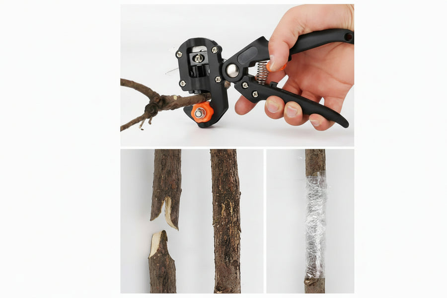 Grafting tool being used on a branch with step-by-step instructions below.