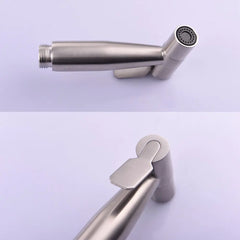 Sleek Stainless Pull-Down Faucet