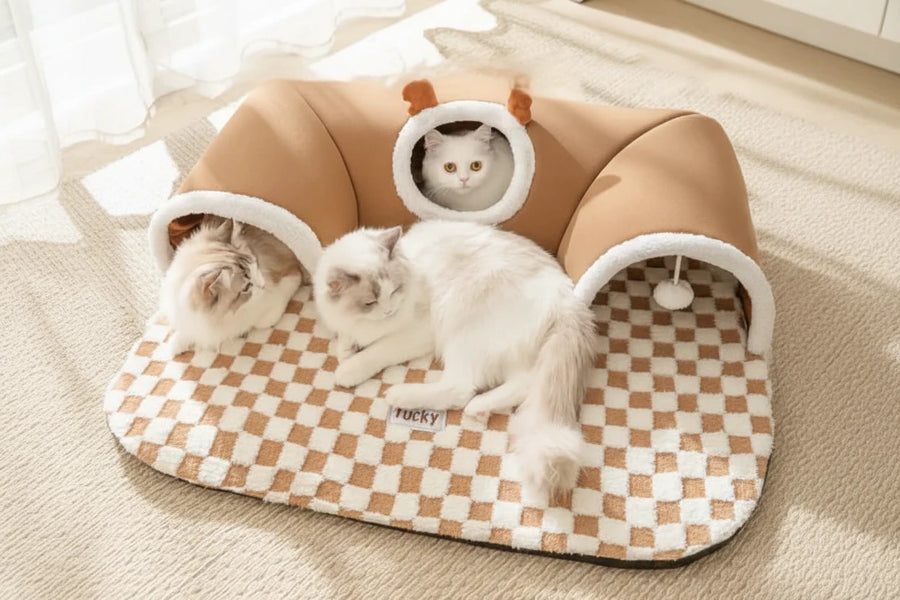 Hide-and-Seek Cat Tunnel Bed