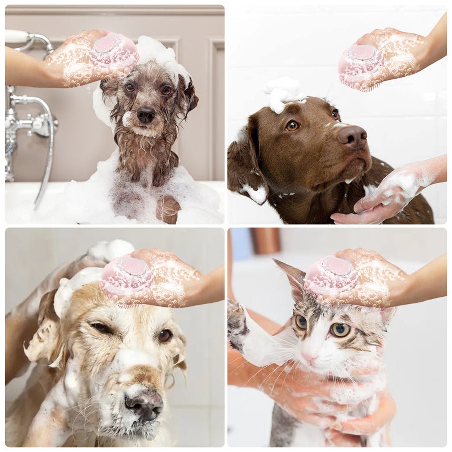 Collage of four images showing dogs and a cat being bathed with soapy water.