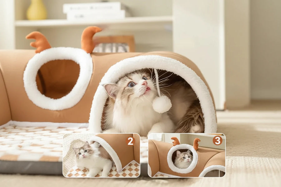 Hide-and-Seek Cat Tunnel Bed