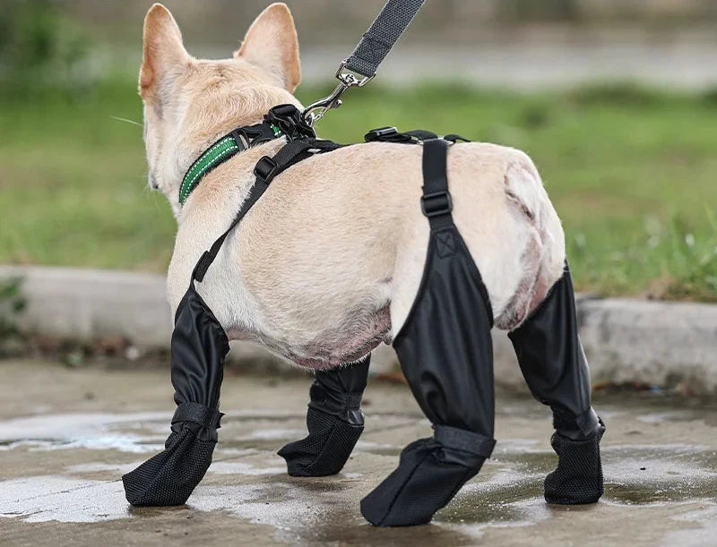 All-Weather Dog Paw Protectors