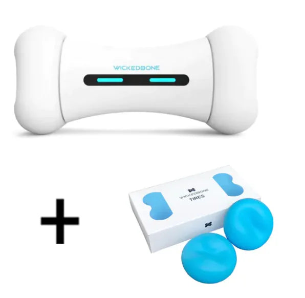 SmartPlay Dog & Cat Toy