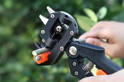 Multi-functional horticultural grafting tool with text on a blurred green background