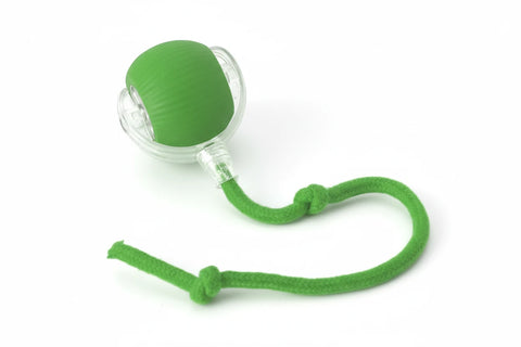 Purrfect Play Cat Toy