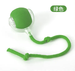 Purrfect Play Cat Toy