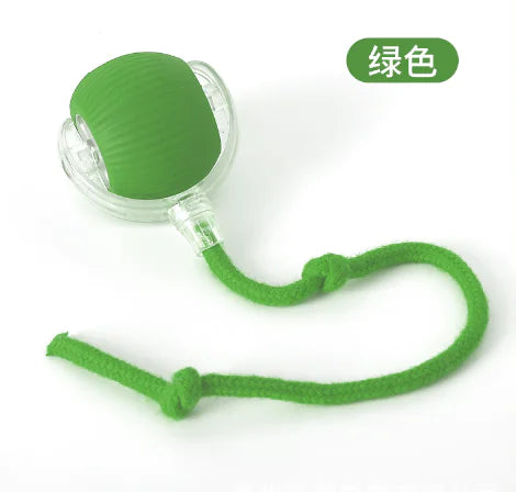 Purrfect Play Cat Toy