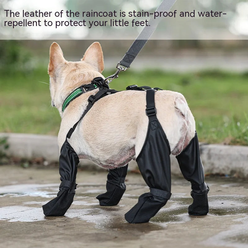 All-Weather Dog Paw Protectors