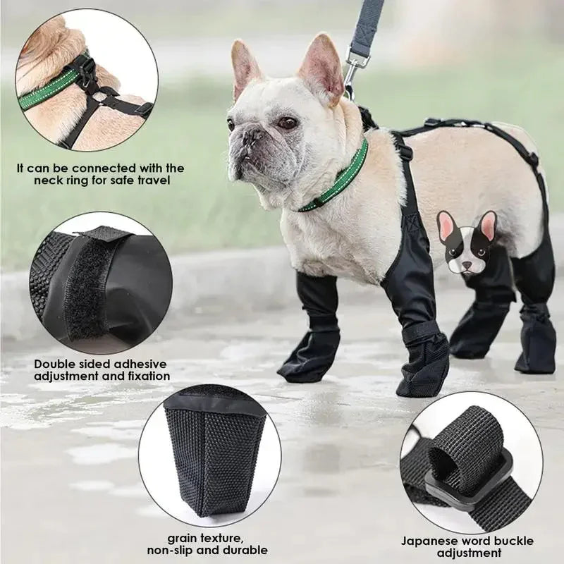 All-Weather Dog Paw Protectors