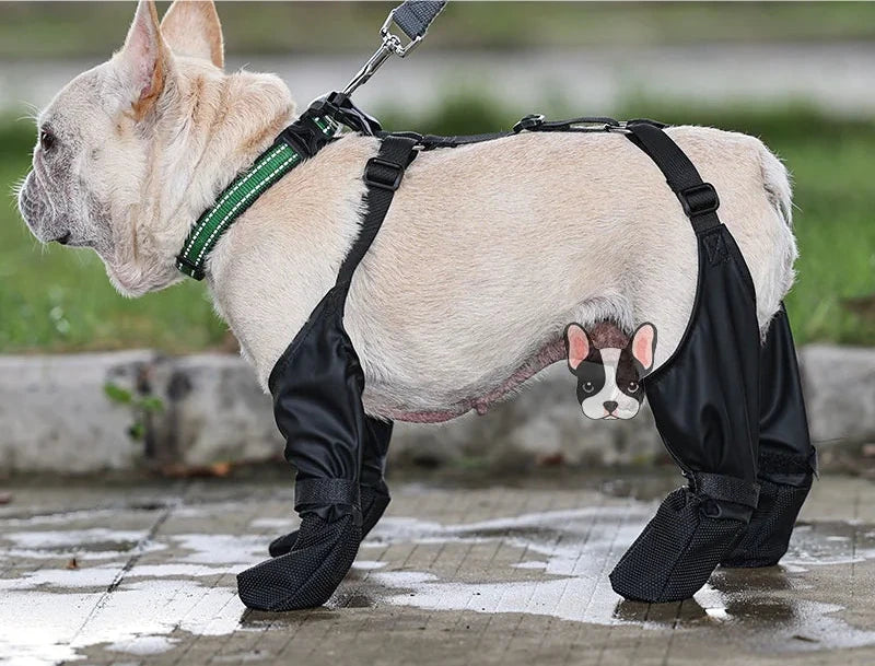 All-Weather Dog Paw Protectors