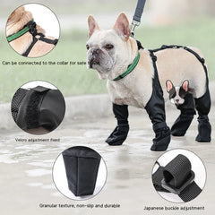 All-Weather Dog Paw Protectors