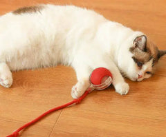 Purrfect Play Cat Toy