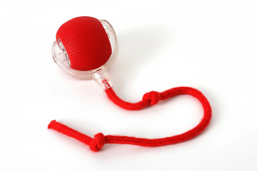 Purrfect Play Cat Toy